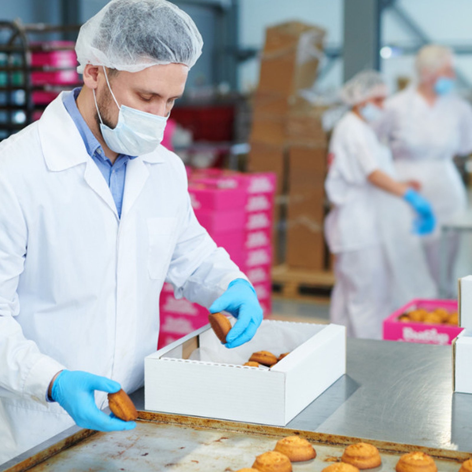 B.Voc. Food Processing and Nutraceuticals courses